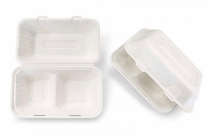 Take-away Box Zuckerrohr 2-geteilt 22,5 x 15,3 x 8,0cm